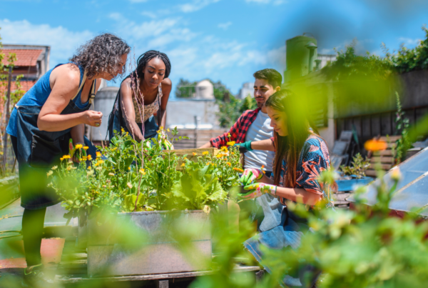 four people work together on an urban garden