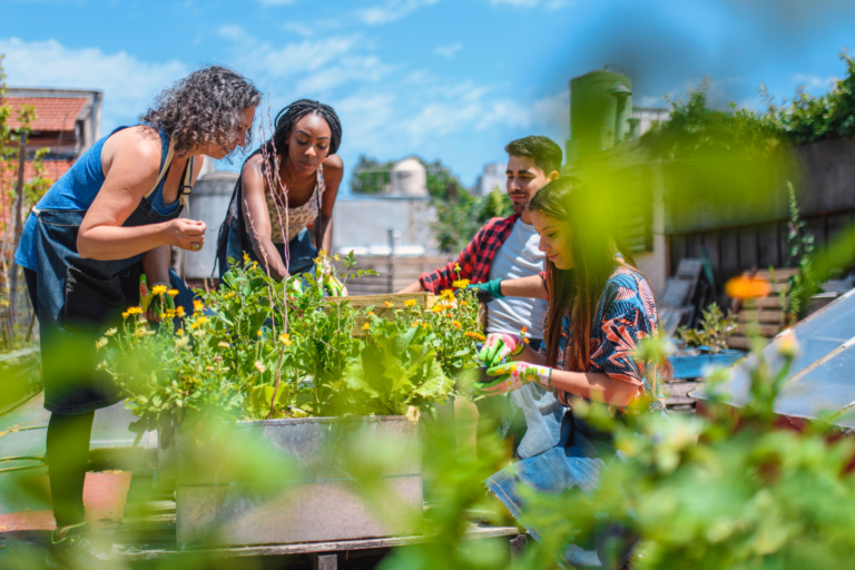 four people work together on an urban garden